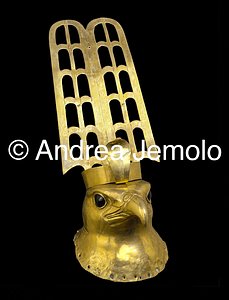 Museo Egizio Testa di falco, Hierakonpolis | Andrea Jemolo