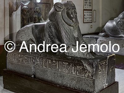 Egyptian museum Sphinx of Amenemhat III, Tanis | Andrea Jemolo