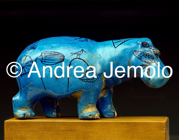 Kerbl Cavezza Hippo » Colore: blu, Dimensioni: puledro