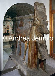 Museo Egizio Cappella di Hathor, Deir el-Bahari | Andrea Jemolo