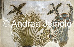 Museo Egizio Anatre in una palude di papiri, Tell el-Amarna | Andrea Jemolo
