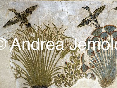 Egyptian museum Ducks in a Papyrus Swamp, Tell el-Amarna | Andrea Jemolo