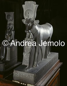 Museo Egizio Hathor e Psammetik, Saqqara | Andrea Jemolo