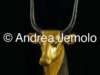 Museum of Ancient Egyptian art Head of Hathor as cow from grave of Tutankhamon | Andrea Jemolo