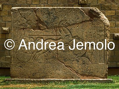 Museum of Ancient Egyptian art Relief of Amenotep III as an archer, Karnak | Andrea Jemolo