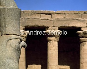 Tempio di Horus Statua del Falco Horus | Andrea Jemolo