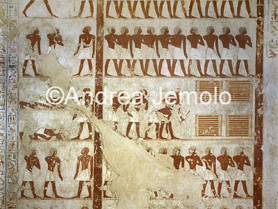 Tomba di Rekhmire ( n° 100 ) Stanza del Vizir | Andrea Jemolo