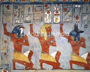 Tomb of Ramses I ( n°46 ) The king kneeling between the divinities | Andrea Jemolo