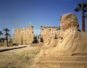 Temple Avenue of the Sphinxes and first Pylon | Andrea Jemolo