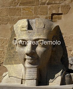 Temple Colossal head of Ramses II | Andrea Jemolo