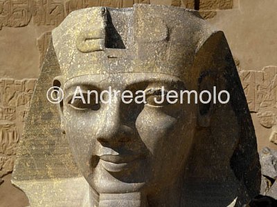 Temple Colossal head of Ramses II | Andrea Jemolo