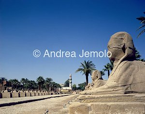 Tempio Viale delle Sfingi | Andrea Jemolo