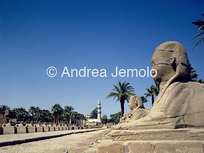 Temple Avenue of the Sphinxes | Andrea Jemolo