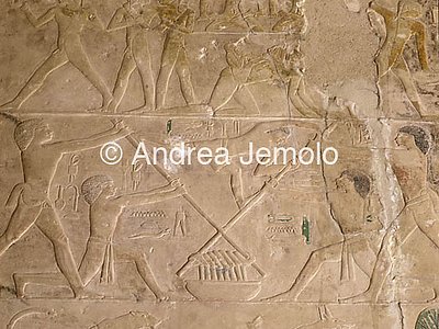 Mastaba di Ptahotep Lavorazione del vino | Andrea Jemolo