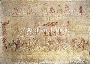 Mastaba di Ptahotep Combattimento con barche | Andrea Jemolo