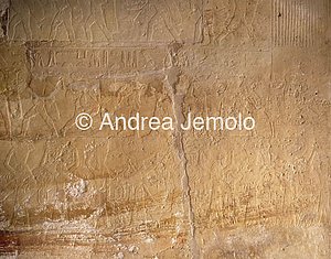 Mastaba di Ptahotep Processione | Andrea Jemolo