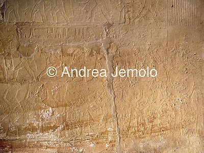 Mastaba di Ptahotep Processione | Andrea Jemolo