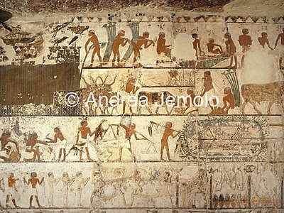Mastaba di Nefer e di Ka-hay Raccolta di papiro, pascolo, cattura di uccelli | Andrea Jemolo