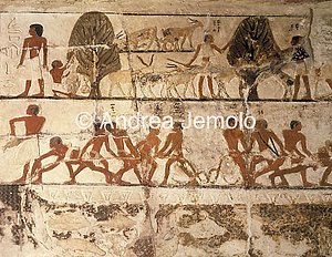 Mastaba di Nefer e di Ka-hay Attività di pesca e di pascolo con le capre | Andrea Jemolo
