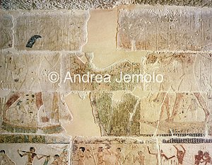 Mastaba di Niankhnum e Khnumhotep Attività di caccia e pesca | Andrea Jemolo