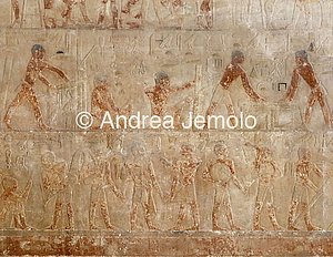 Mastaba di Niankhnum e Khnumhotep Attività artigianali | Andrea Jemolo