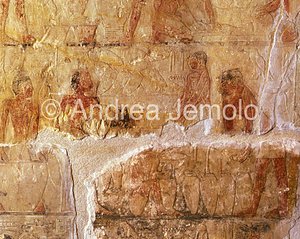 Mastaba di Niankhnum e Khnumhotep Lavorazione della birra | Andrea Jemolo