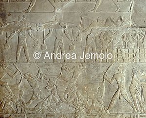 Mastaba di Mereruka Irrigazione delle coltivazioni | Andrea Jemolo