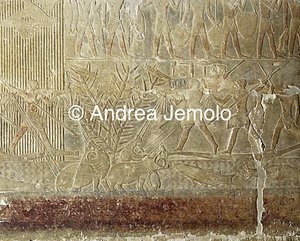 Mastaba di Mereruka Caccia degli ippopotami nella palude | Andrea Jemolo