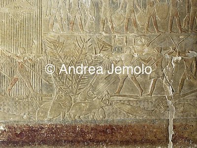 Mastaba di Mereruka Caccia degli ippopotami nella palude | Andrea Jemolo