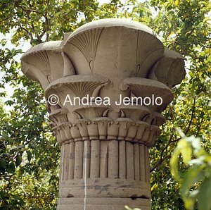 Rovine del tempio Capitelli compositi | Andrea Jemolo