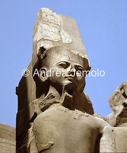 Temple of Amon Colossus of Ramses II | Andrea Jemolo