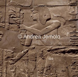 Tempio di Amon Offerta di Sethi I | Andrea Jemolo