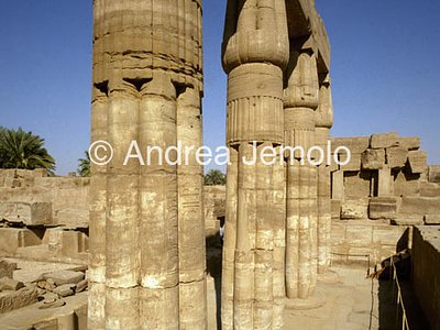 Temple of Amon Botanical garden - general view | Andrea Jemolo