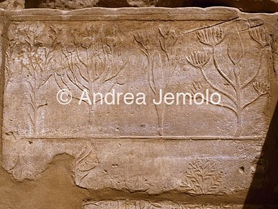 Temple of Amon Botanical garden - Detail | Andrea Jemolo