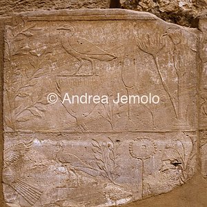 Tempio di Amon Orto botanico - particolari | Andrea Jemolo