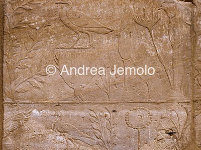 Temple of Amon Botanical garden - Detail | Andrea Jemolo