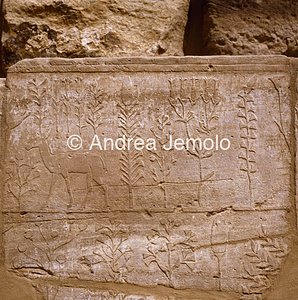 Tempio di Amon Orto botanico - particolari | Andrea Jemolo