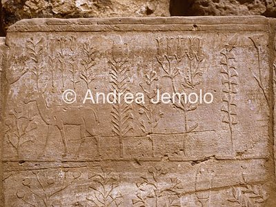 Temple of Amon Botanical garden - Detail | Andrea Jemolo