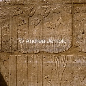 Tempio di Amon Orto botanico - particolari | Andrea Jemolo