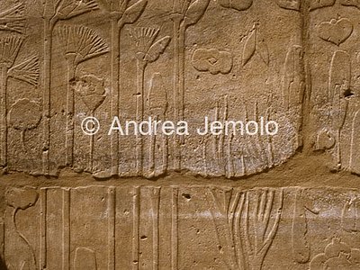 Temple of Amon Botanical garden - Detail | Andrea Jemolo