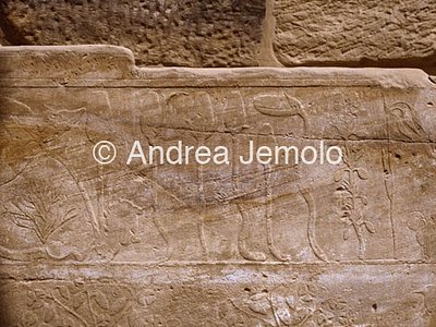 Temple of Amon Botanical garden - Detail | Andrea Jemolo