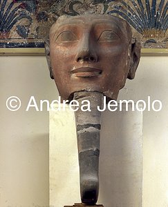 Museo Egizio Hatschepsut con la barba, Arenaria, Karnak | Andrea Jemolo