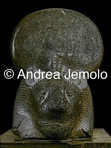 Egyptian museum Head of Sekhmet, Granite, Temple of Mut | Andrea Jemolo