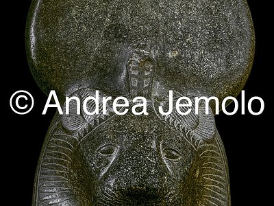 Egyptian museum Head of Sekhmet, Granite, Temple of Mut | Andrea Jemolo