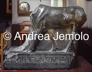 Egyptian museum Ox-Api, Bronze, Serapeum in Saqqara | Andrea Jemolo