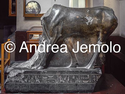 Egyptian museum Ox-Api, Bronze, Serapeum in Saqqara | Andrea Jemolo