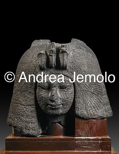 Museo Egizio La regina Tiye | Andrea Jemolo