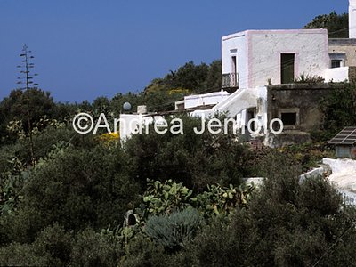 Aeolian Architecture  | Andrea Jemolo