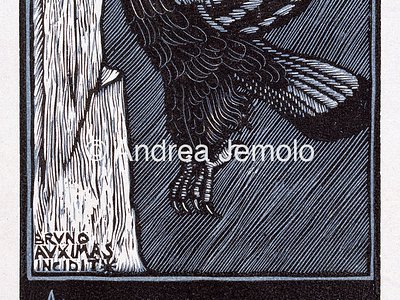 Collezione privata Ex libris Umberto II | Andrea Jemolo