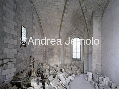 Cathédrale Métropolitaine de Saint-Gatien Plantagenete hall | Andrea Jemolo